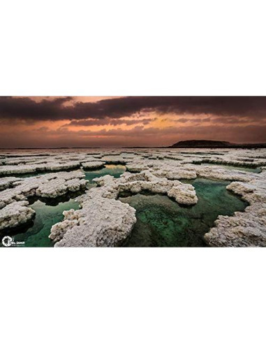 Crema Hidratante para Manos y Uñas BLACK PEARL 150 ml