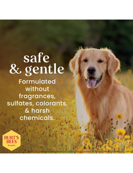 Balm Hidratante para Nariz y Patas de Perro Burt's Bees 32g