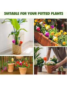 4 Esferas de Riego de Vidrio Iridiscentes 100ml para Plantas 2