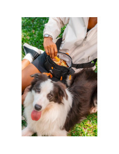 Bolsa de Entrenamiento para Perros OllyDog Cuervo S'25 2