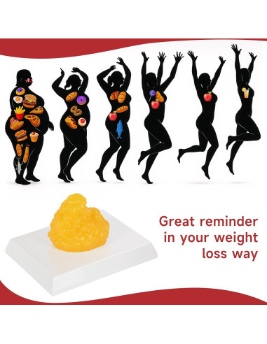 Réplica de Grasa Corporal SimCoach 0.20 kg para Nutricionistas