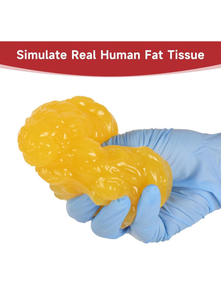 Réplica de Grasa Corporal SimCoach 0.20 kg para Nutricionistas