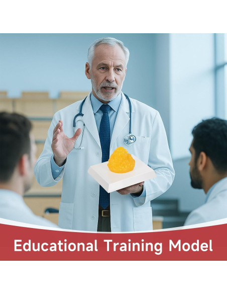 Réplica de Grasa Corporal SimCoach 0.20 kg para Nutricionistas