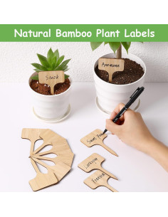 70 Etiquetas de Planta de Bambú CJFocus 6x10 cm Naturales 2