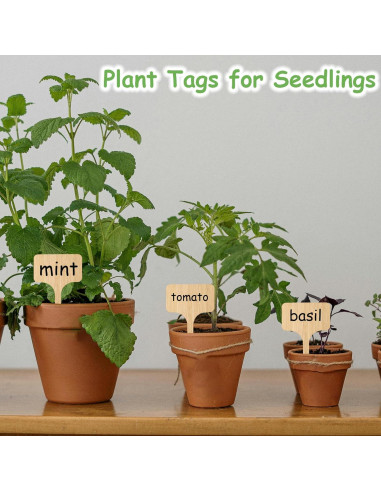 70 Etiquetas de Planta de Bambú CJFocus 6x10 cm Naturales