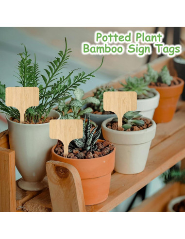 70 Etiquetas de Planta de Bambú CJFocus 6x10 cm Naturales