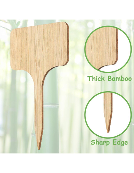 70 Etiquetas de Planta de Bambú CJFocus 6x10 cm Naturales