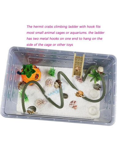 Escalera de Madera para Cangrejos Ermitaños TTBellok 22x8.5cm