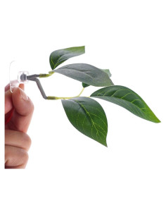 Hoja de Pato para Betta Verde Xinjincang con Ventosa 12.7 cm