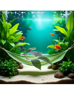 Hoja de Pato para Betta Verde Xinjincang con Ventosa 12.7 cm 2