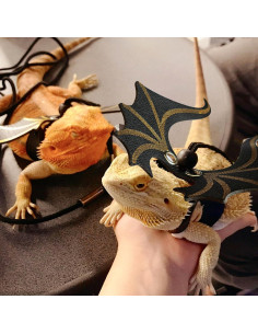 Conjunto Correa y Arnés Ajustable Dragón Barbudo 3 Tamaños 2