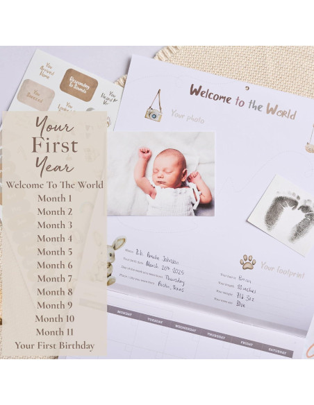 Calendario del Primer Año del Bebé Bibi & Beau con 100 Pegatinas