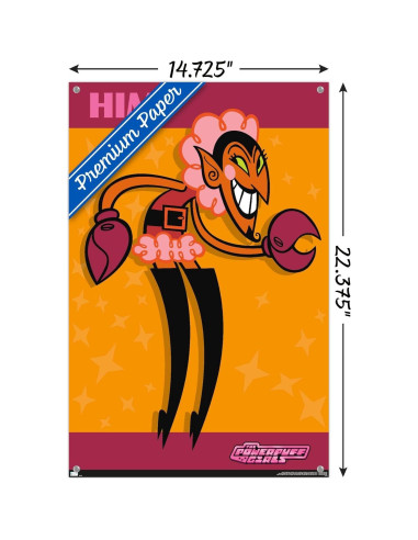 Póster Las Chicas Superpoderosas Him - Trends International 37x57cm