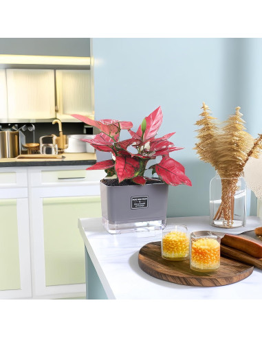 Macetas Autorriego FAMZ 4 Pack 18 cm Gris para Plantas