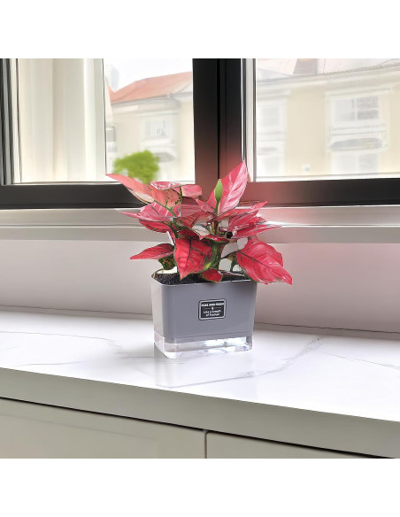 Macetas Autorriego FAMZ 4 Pack 18 cm Gris para Plantas