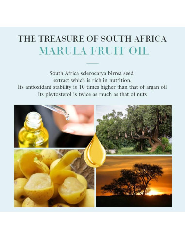 Jabón Redondo de Aceite de Marula OPPEAL - 120 Unidades - Aroma Ámbar