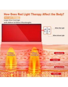 Almohadilla de Terapia de Luz Roja Weiyitec 160x71cm 1260 LEDs 2