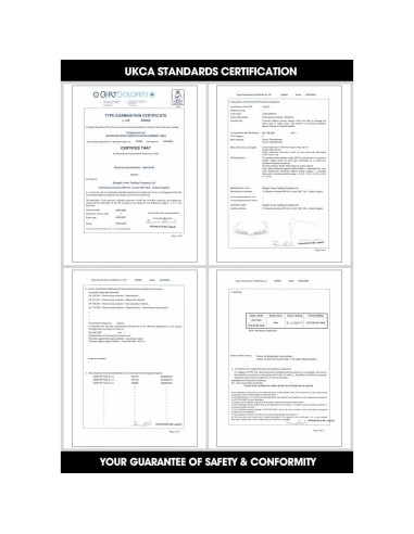 Gafas de Lectura de Seguridad VoltX Cristal +1.0 Dioptrías
