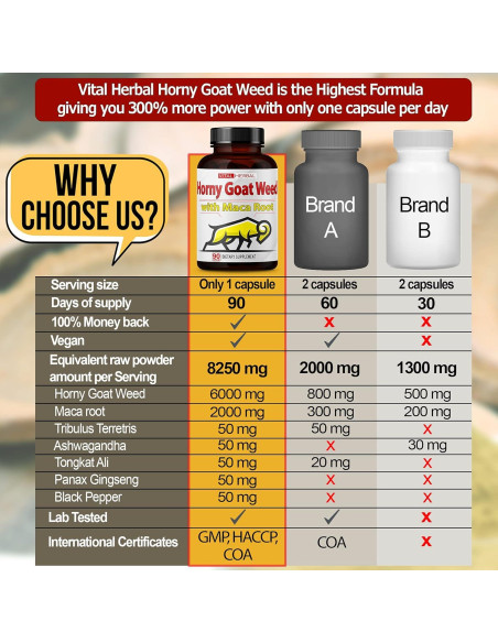 Cápsulas Vital Herbal Horny Goat Weed 90 Unidades Energía