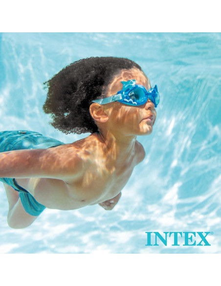 Skimmer Automático Intex Deluxe 800 GPH para Piscina