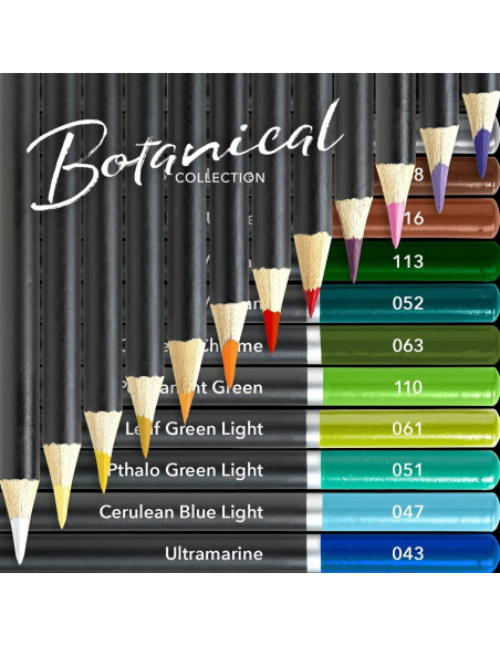 Conjunto de 24 Lápices de Colores Castle Arts Botánico