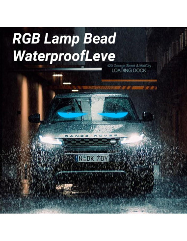 Tiras de Luz LED Fivahiva 2PCS 37.4x9.2cm Impermeables