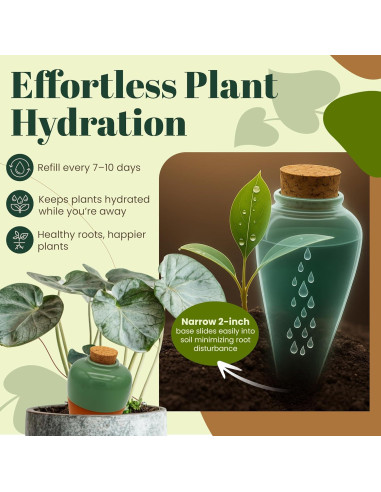 Insertos de Autorriego de Terracota Cozy Chrysalis - Juego de 4