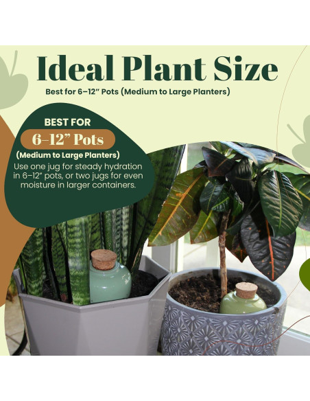 Insertos de Autorriego de Terracota Cozy Chrysalis - Juego de 4