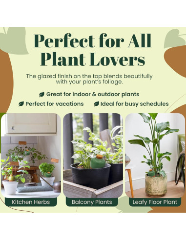 Insertos de Autorriego de Terracota Cozy Chrysalis - Juego de 4