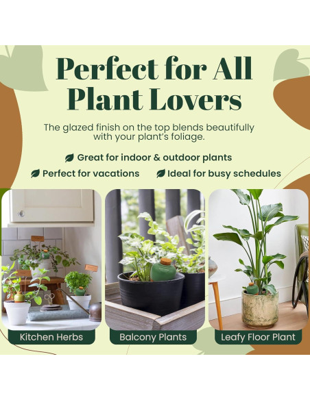 Insertos de Autorriego de Terracota Cozy Chrysalis - Juego de 4