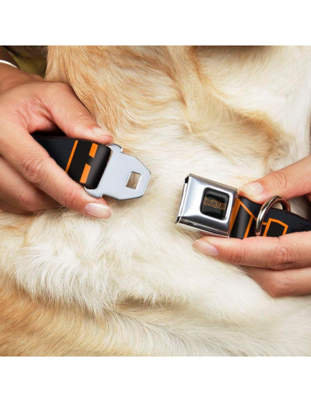 Collar para Perro Crunchyroll con Hebilla de Seguridad 38-61 cm