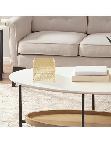 Organizador de Maquillaje FOMIYES Metal 13.5cm Estilo Moderno