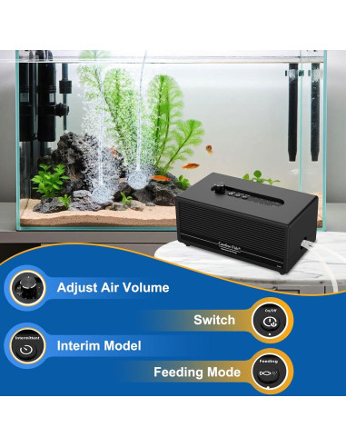 Bomba de Aire para Acuario Carefree Fish 6W USB Batería Litio