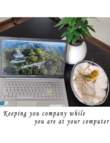 Sofá Chaise para Dragones Barbados WEVONIGU con Arnés Ajustable