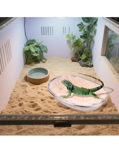 Sofá Chaise para Dragones Barbados WEVONIGU con Arnés Ajustable