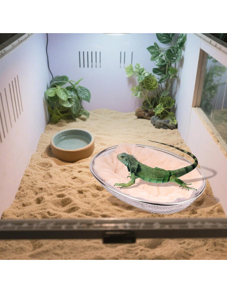 Sofá Chaise para Dragones Barbados WEVONIGU con Arnés Ajustable