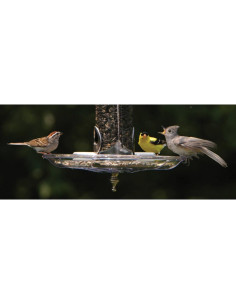 Bandeja de Semillas Swirl 380 Aspects 25.4 cm Ajustable 2