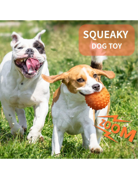 Pelota de Perro Squeaky Apasiri 8.89 cm Goma Naranja