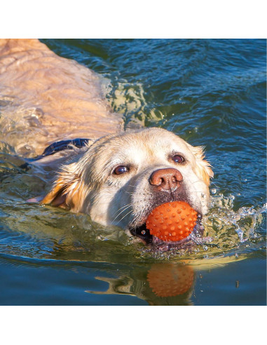 Pelota de Perro Squeaky Apasiri 8.89 cm Goma Naranja