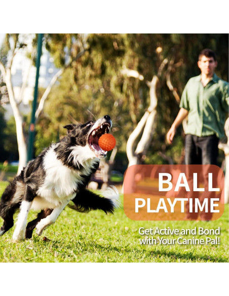 Pelota de Perro Squeaky Apasiri 8.89 cm Goma Naranja