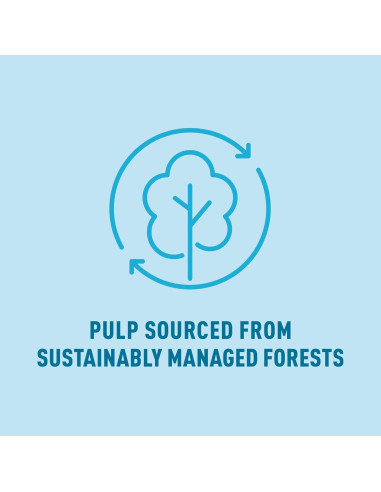 Papel Higiénico Ultra Suave Presto! Amazon 12 Mega Rollos