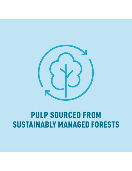 Papel Higiénico Ultra Suave Presto! Amazon 12 Mega Rollos