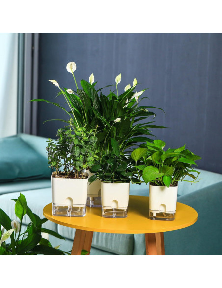 Macetas Autorriego Planterhoma 18/25 cm 2 Piezas Blancas