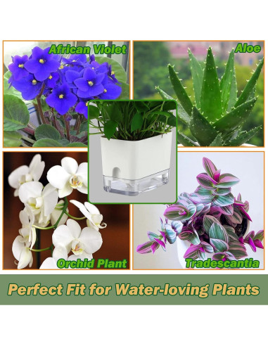 Macetas Autorriego Planterhoma 18/25 cm 2 Piezas Blancas