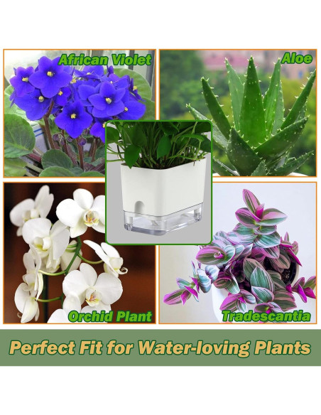 Macetas Autorriego Planterhoma 18/25 cm 2 Piezas Blancas