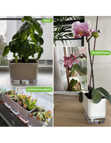 Macetas Autorriego Planterhoma 18/25 cm 2 Piezas Blancas