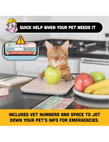 Guía Magnética de Alimentos Seguros para Perros y Gatos Sunsella 21.6x27.9cm