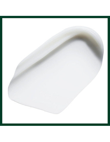 Acondicionador Antifrizz Aveda Smooth Infusion 38.4 ml