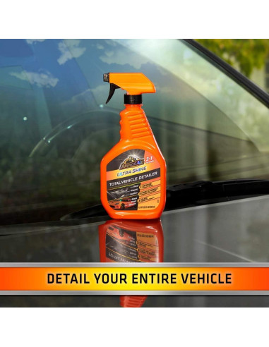 Armor All Detallador Total de Vehículos 651 ml Paquete de 6