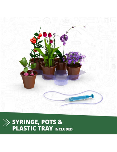 Set de Construcción Engino STEM Invernadero Funcional 9+